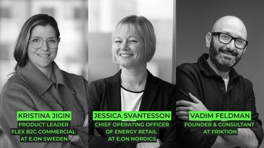 Kristina Jigin, Jessica Svantesson and Vadim Feldman